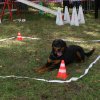 foire-haricots 2011-09-17et18